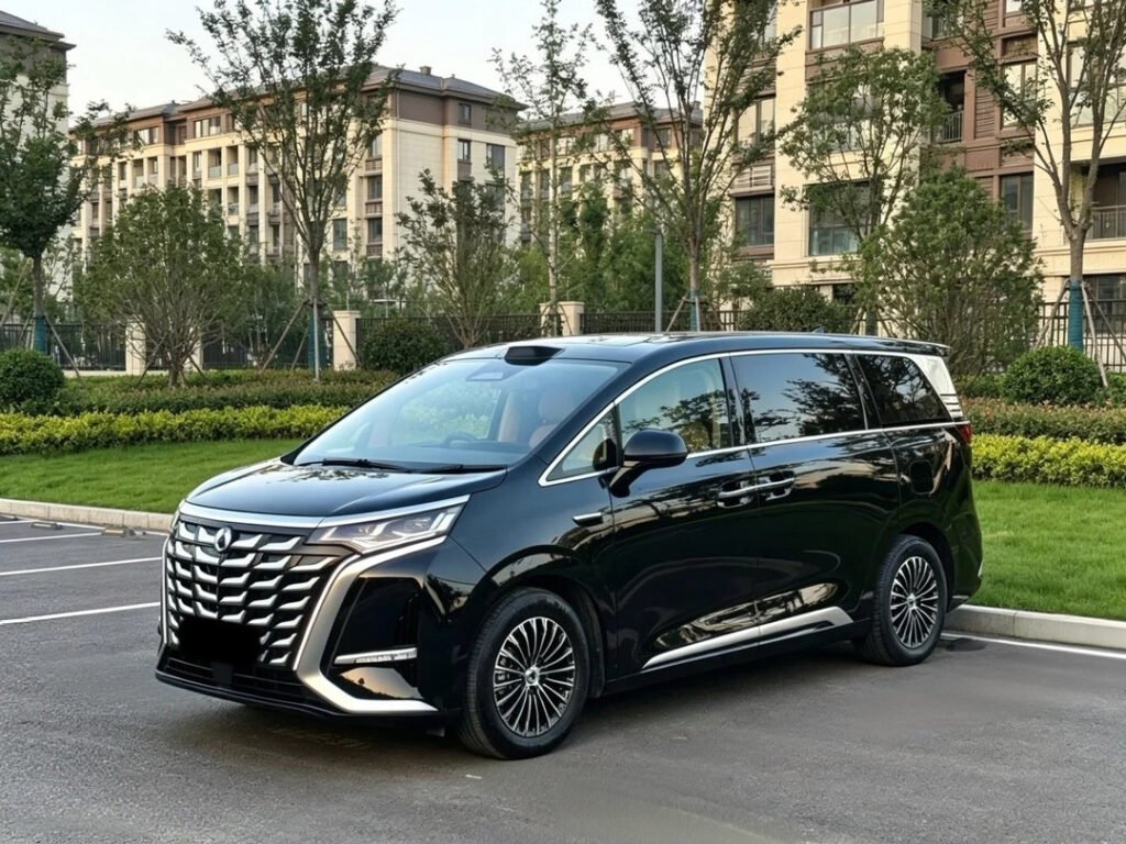 private-driver-7-seater-mpv-BYD-danza-d9